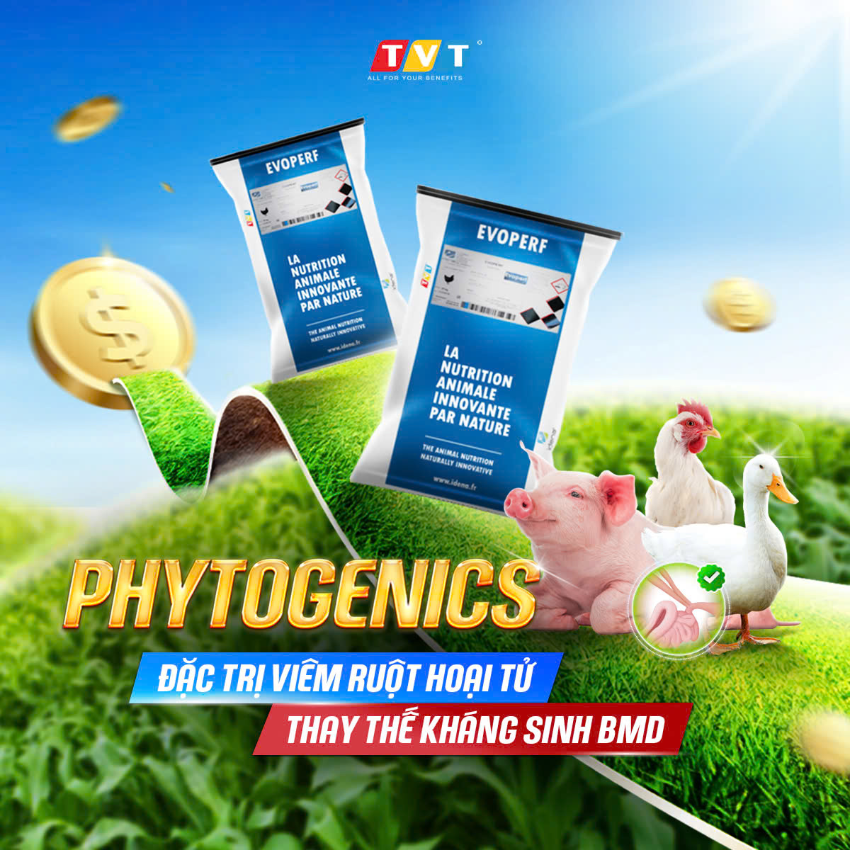 CÔNG TY CỔ PHẦN TIẾN VIỆT THÁI