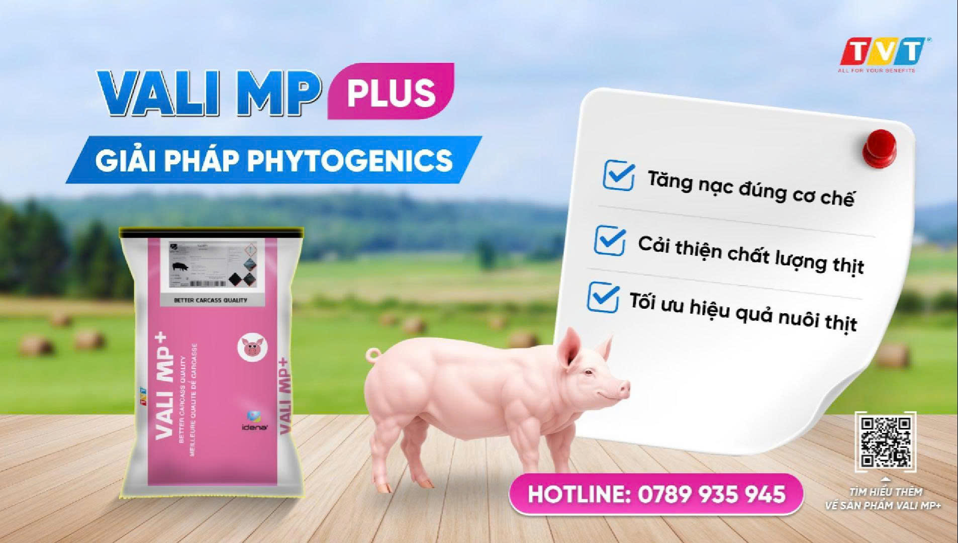 VALI MP+ – GIẢI PHÁP DINH DƯỠNG TỐI ƯU HÓA NĂNG SUẤT VÀ CHẤT LƯỢNG THỊT HEO