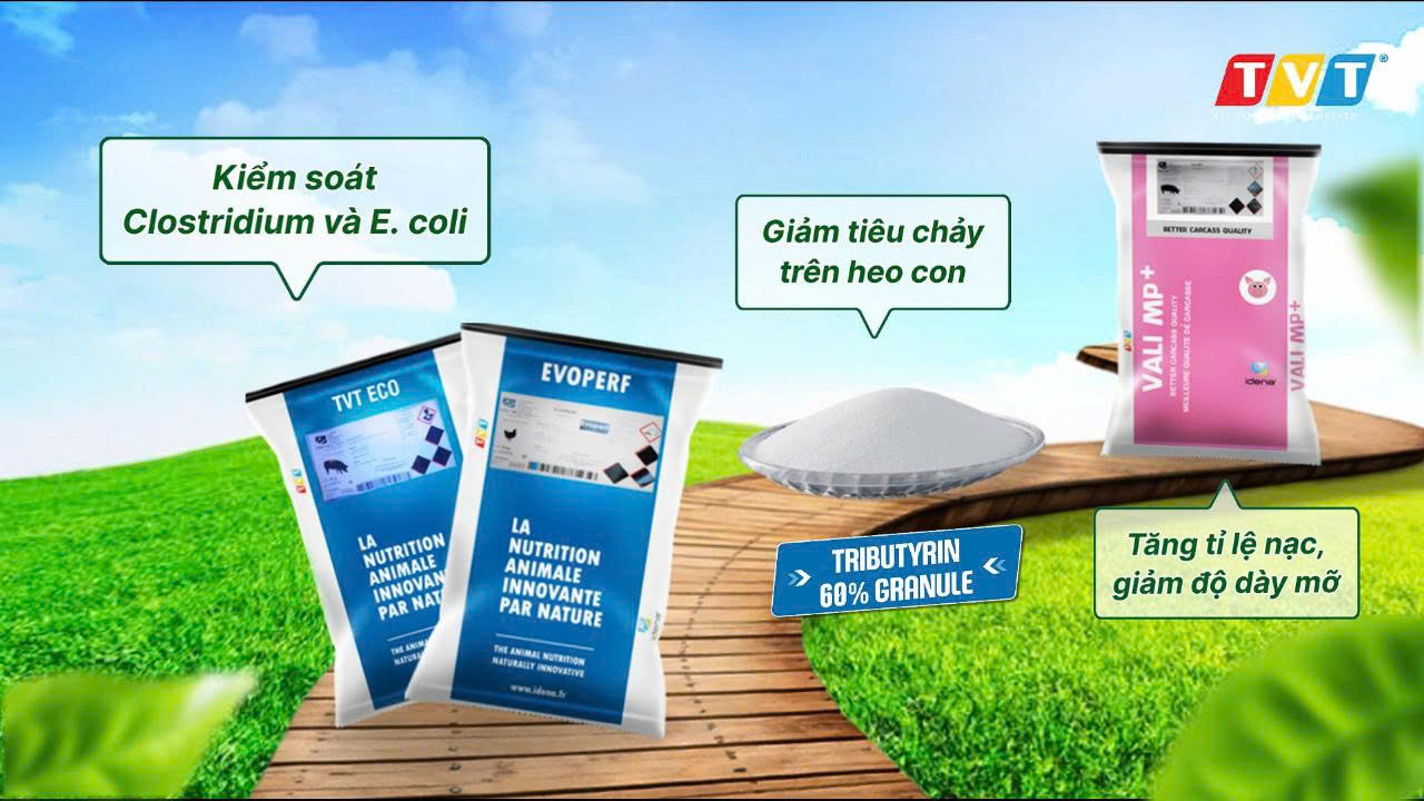 ĐÀO TẠO CÙNG CHUYÊN GIA – NÂNG TẦM TRI THỨC, VỮNG BƯỚC TƯƠNG LAI