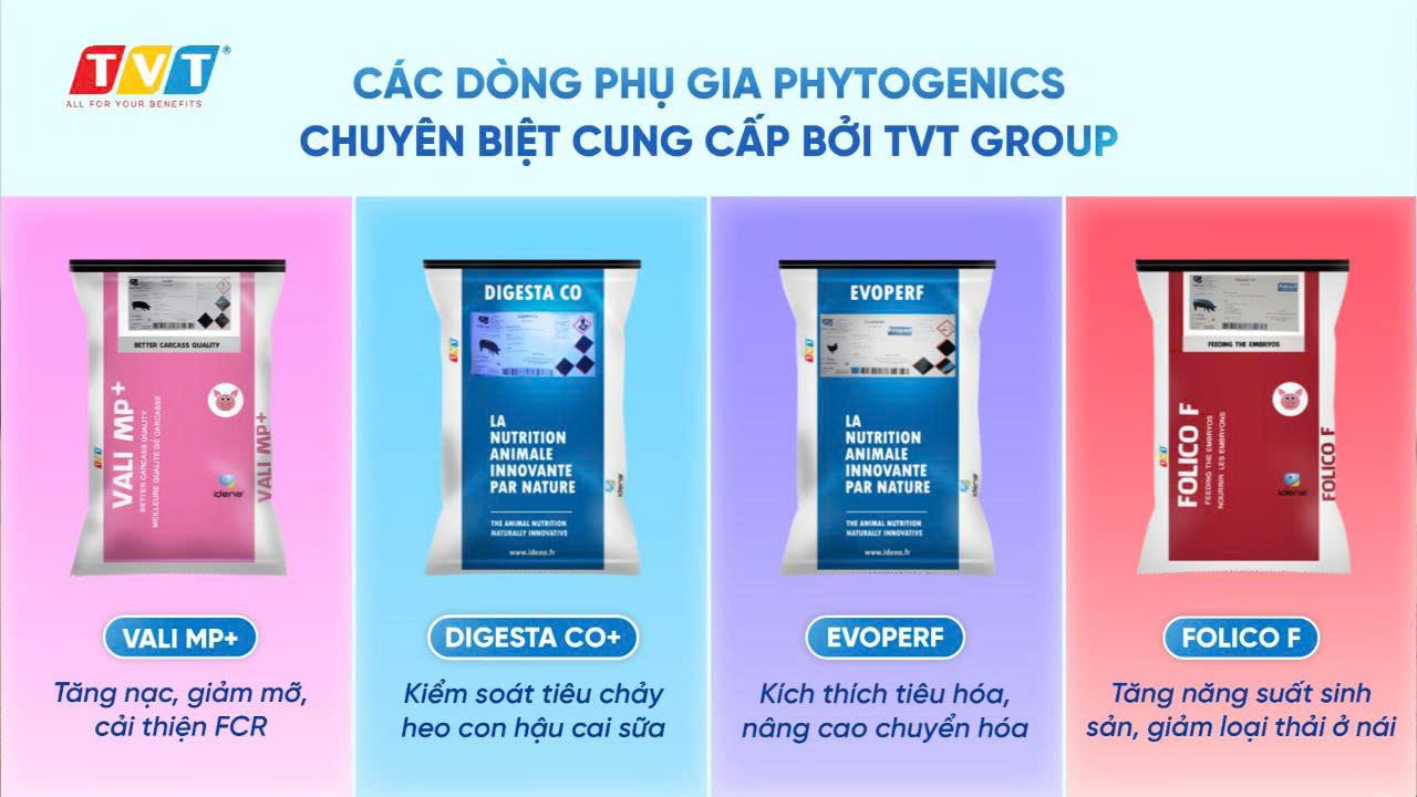 LỘ TRÌNH CẤM KHÁNG SINH TRONG CHĂN NUÔI – NHÀ MÁY SẢN XUẤT THỨC ĂN CHĂN NUÔI ĐÃ SẴN SÀNG CHƯA?