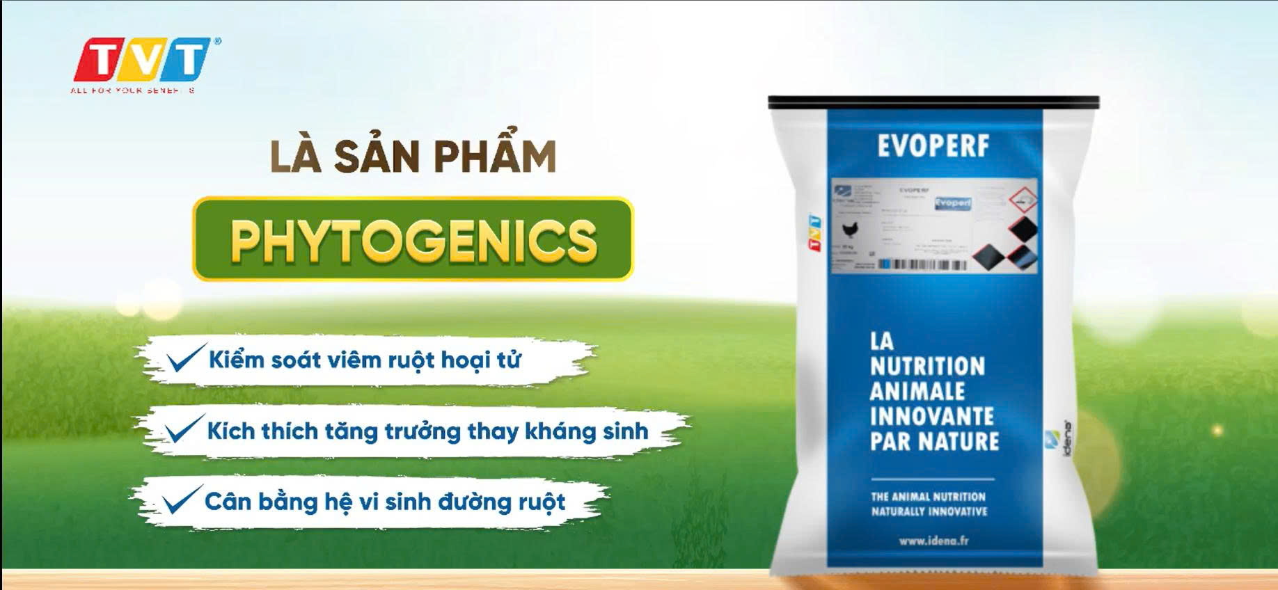 THẤU HIỂU NỖI ĐAU – TRAO GIẢI PHÁP