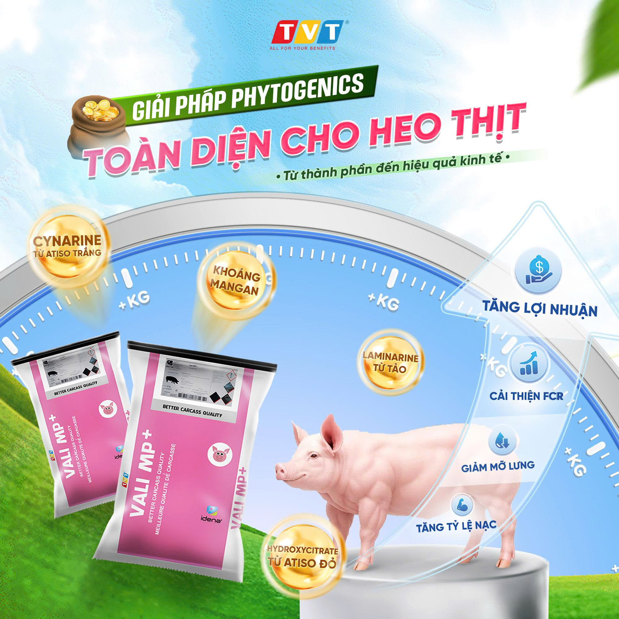 CÔNG TY CỔ PHẦN TIẾN VIỆT THÁI