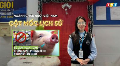 LUẬT CẤM KHÁNG SINH 2026 – NGÀNH CHĂN NUÔI ĐÃ SẴN SÀNG?