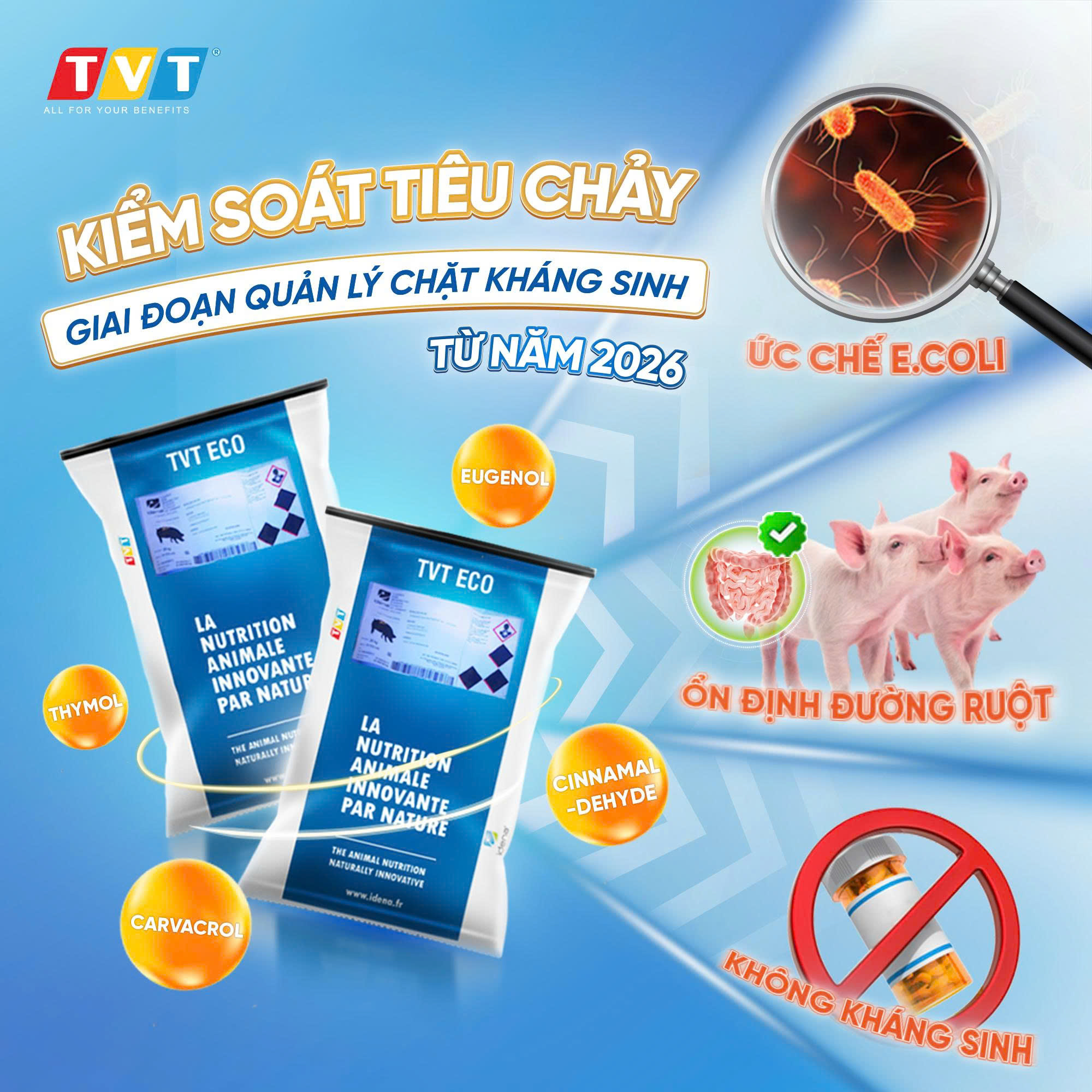 TVT ECO – GIẢI PHÁP PHYTOGENICS KIỂM SOÁT TIÊU CHẢY