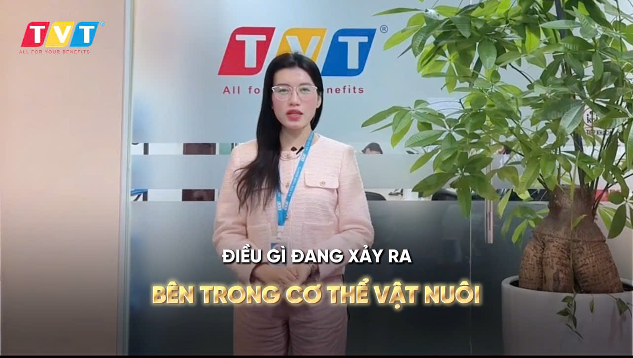 THỜI TIẾT LẠNH – THỬ THÁCH THẦM LẶNG TRONG CHĂN NUÔI