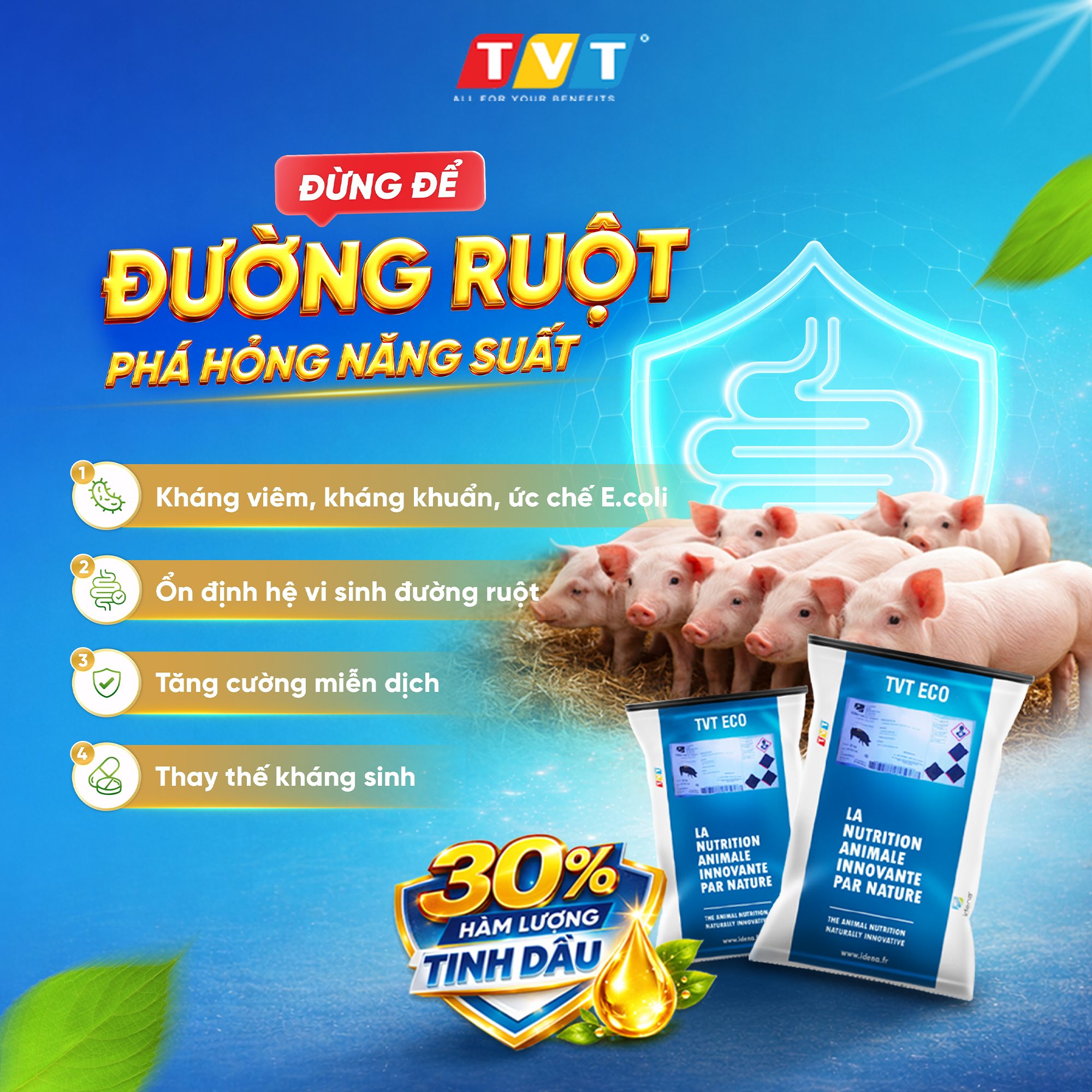 EVOPERF – GIẢI PHÁP TOÀN DIỆN CHO CHIẾN LƯỢC KHÔNG KHÁNG SINH 2026