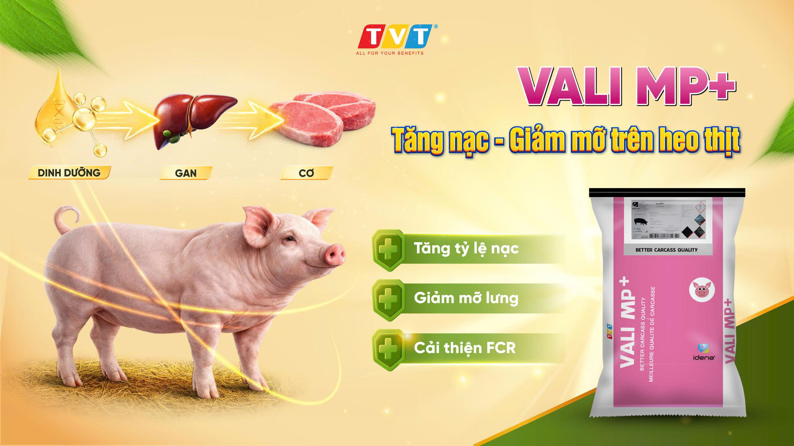VALI MP+ – GIẢI PHÁP PHYTOGENICS TỐI ƯU CHUYỂN HÓA, TĂNG TỶ LỆ NẠC VÀ CẢI THIỆN FCR TRÊN HEO THỊT