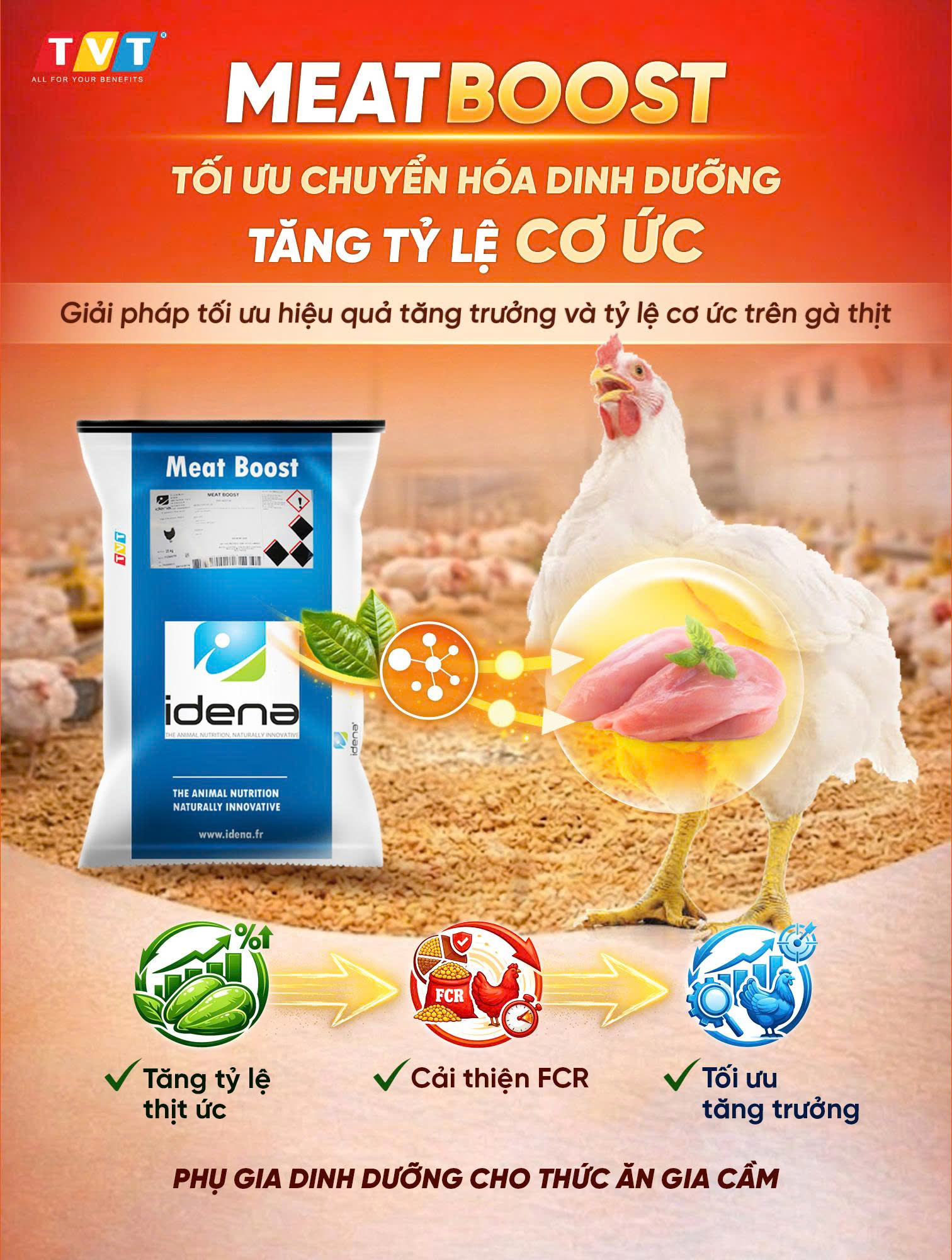 MEAT BOOST – GIẢI PHÁP TỐI ƯU CHUYỂN HÓA, NÂNG CAO NĂNG SUẤT THỊT VÀ HIỆU QUẢ CÔNG THỨC TACN
