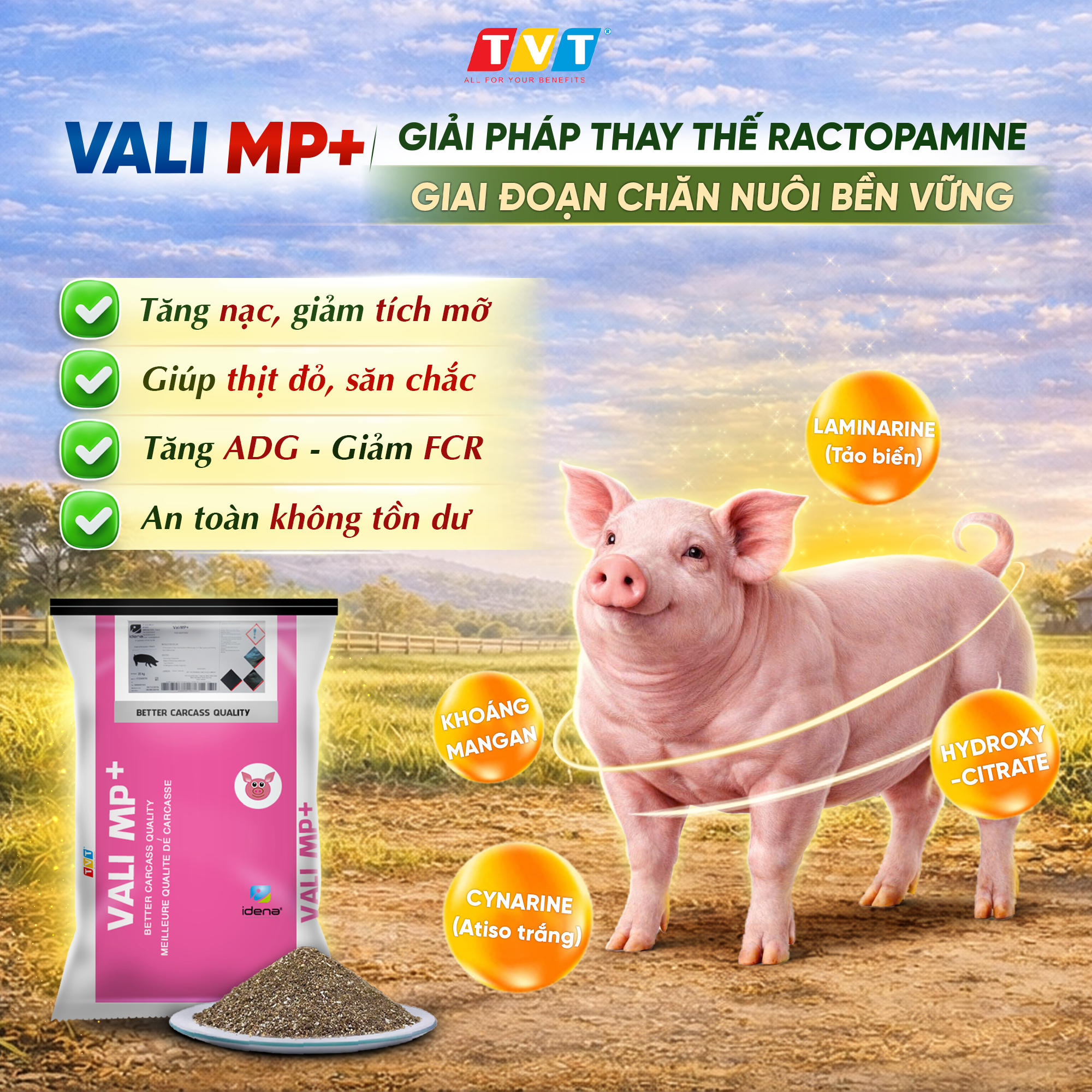 VALI MP+ - GIẢI PHÁP THAY THẾ RACTOPAMINE GIAI ĐOẠN CHĂN NUÔI BỀN VỮNG