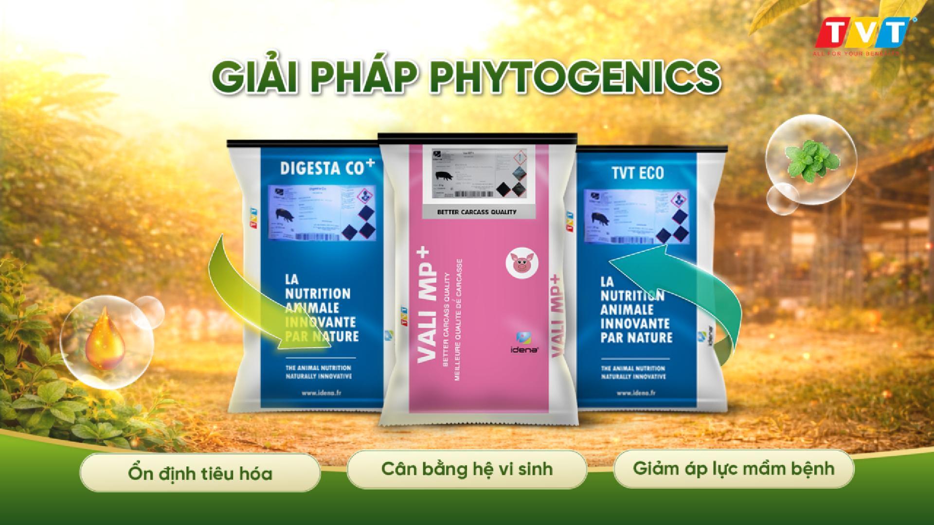 AN TOÀN SINH HỌC - CHÌA KHÓA BẢO VỆ ĐÀN HEO TRƯỚC DỊCH TẢ LỢN CHÂU PHI (ASF) 2026