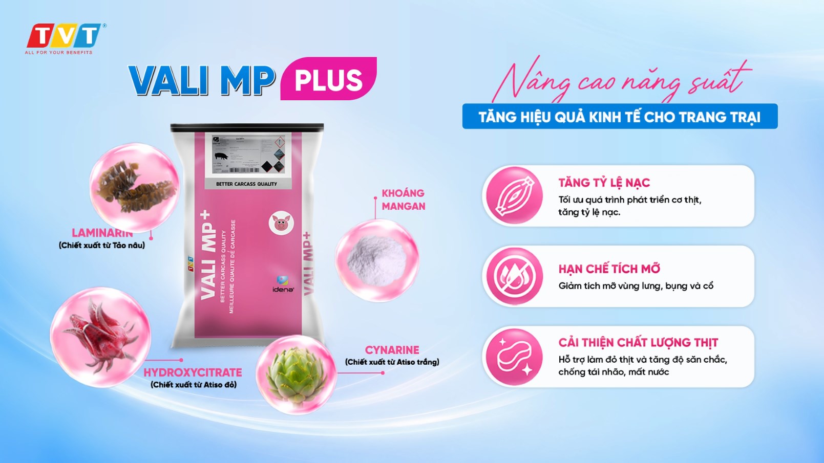 Tối ưu tỷ lệ nạc và chất lượng thân thịt heo với Vali MP Plus