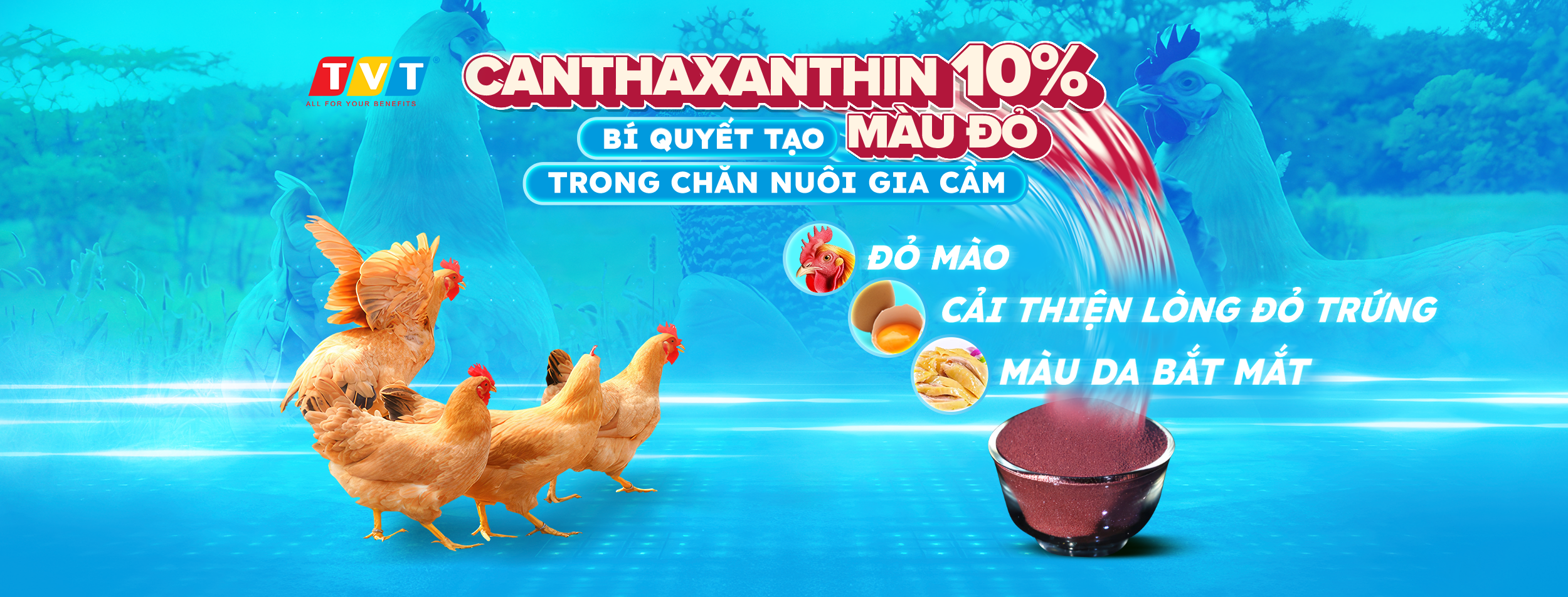 Màu đỏ