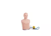 Mô hình chọc dò màng phổi