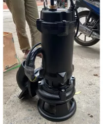 Bơm chìm trục ngang Kairun Model: DN800QZ.-1.5-110-VI (Bơm chìm đặt trong ống)