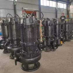 Bơm chìm trục đứng Kairun Model: DN800QV.-3.67-220-VI