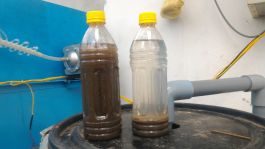 Chi phí nuôi cấy vi sinh và vận hành thử nghiệm 1 tháng; Mua bùn vi sinh + hóa chất vận hành 3 tháng