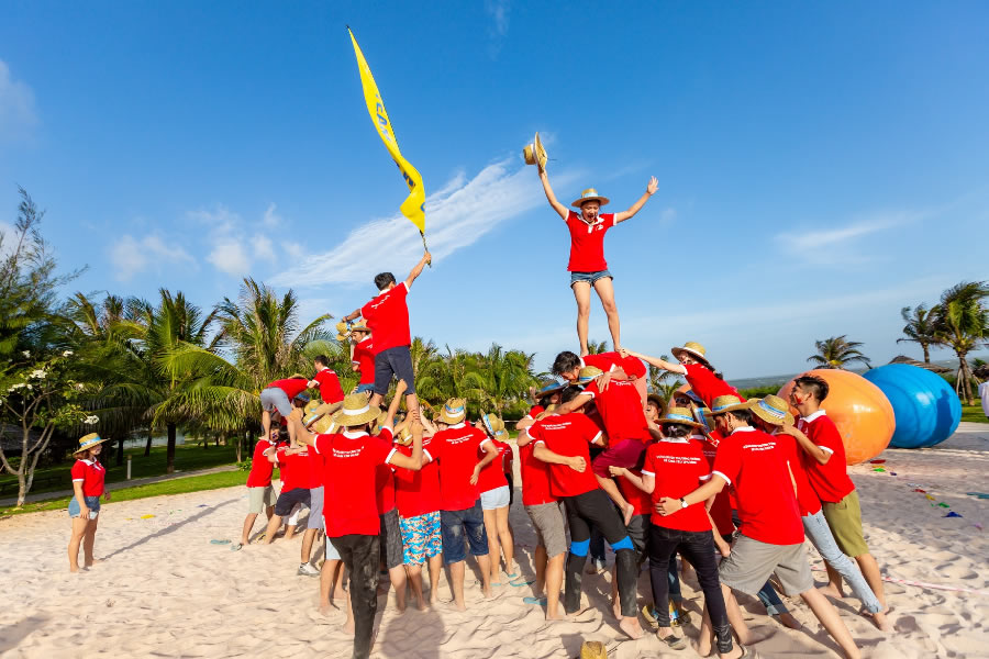 Tổ chức team building