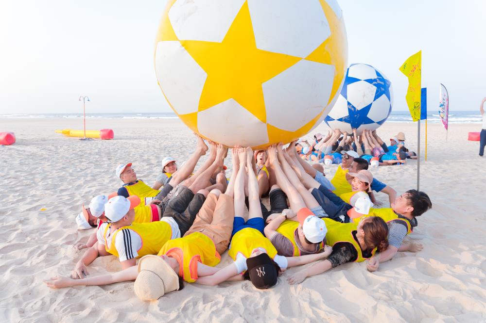 Tổ chức team building