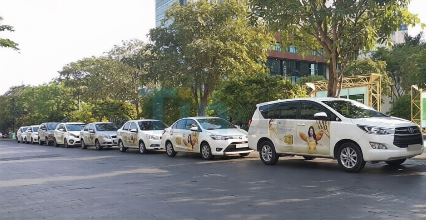 Tổ chức Roadshow
