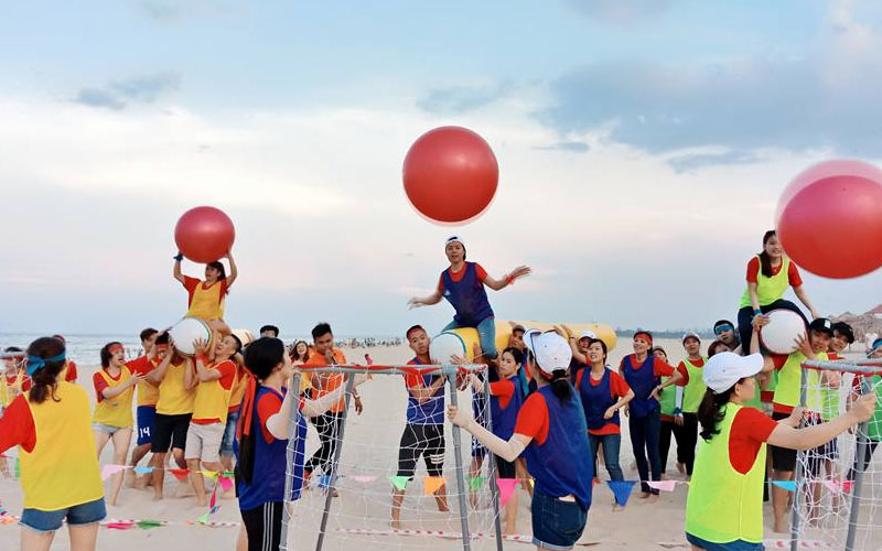 Tổ chức team building