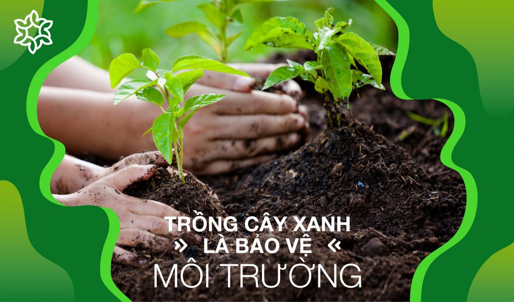Tầm quan trọng , ý nghĩa của việc trồng cây xanh