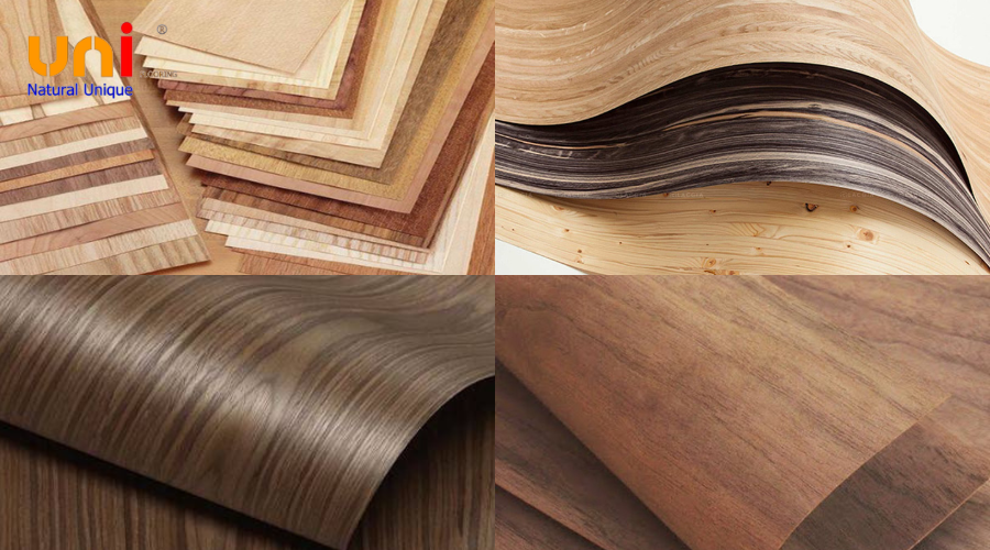 Gỗ Venner là gì Ưu điểm & Ứng dụng gỗ lạng chi tiết 1
