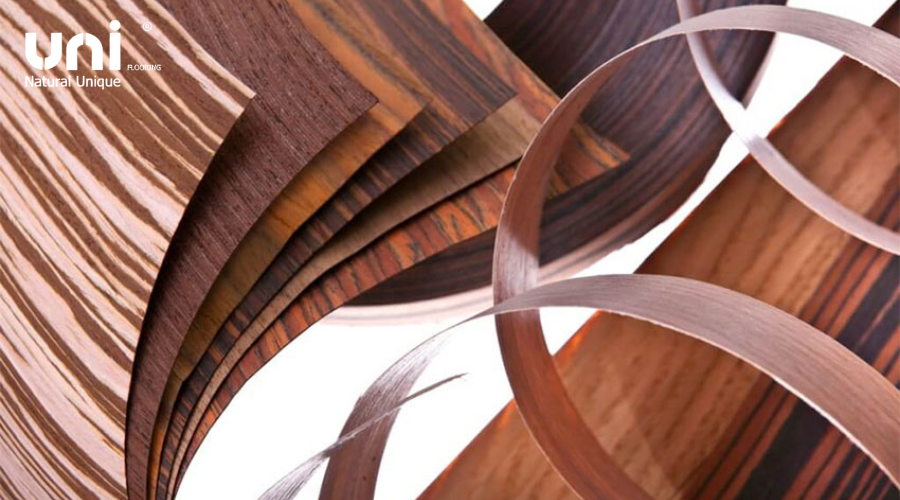 Gỗ Venner là gì Ưu điểm & Ứng dụng gỗ lạng chi tiết 2