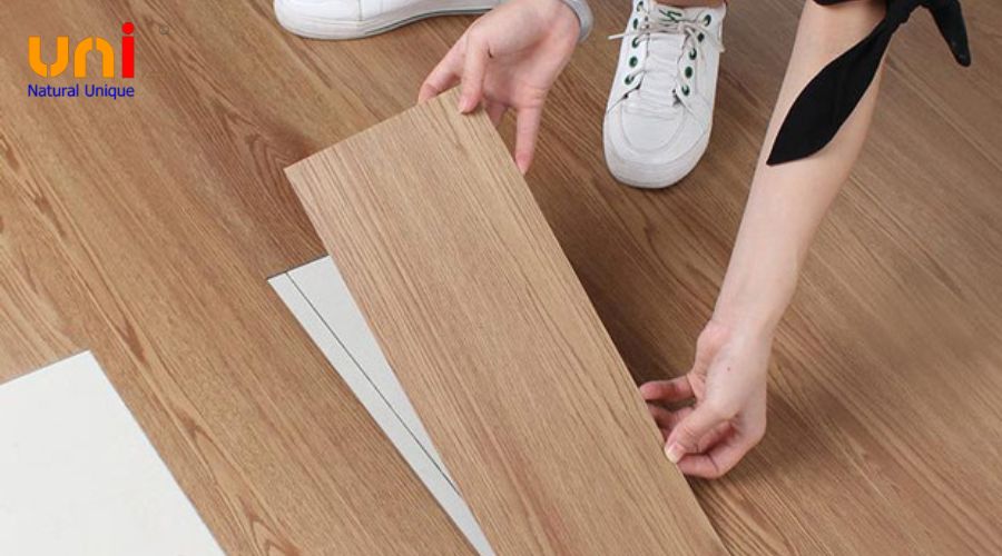 Cấu tạo và phân loại