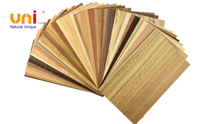 Phân tích cấu tạo và thành phần