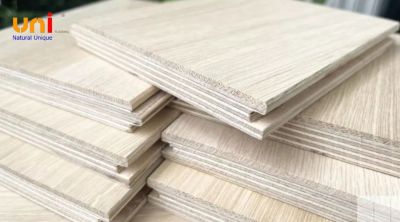 Top 5 loại ván lót sàn cao cấp bền đẹp, sang trọng