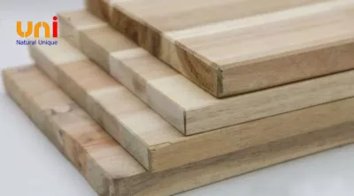 Gỗ MDF có bị mối không? Giải đáp chi tiết và cách phòng tránh