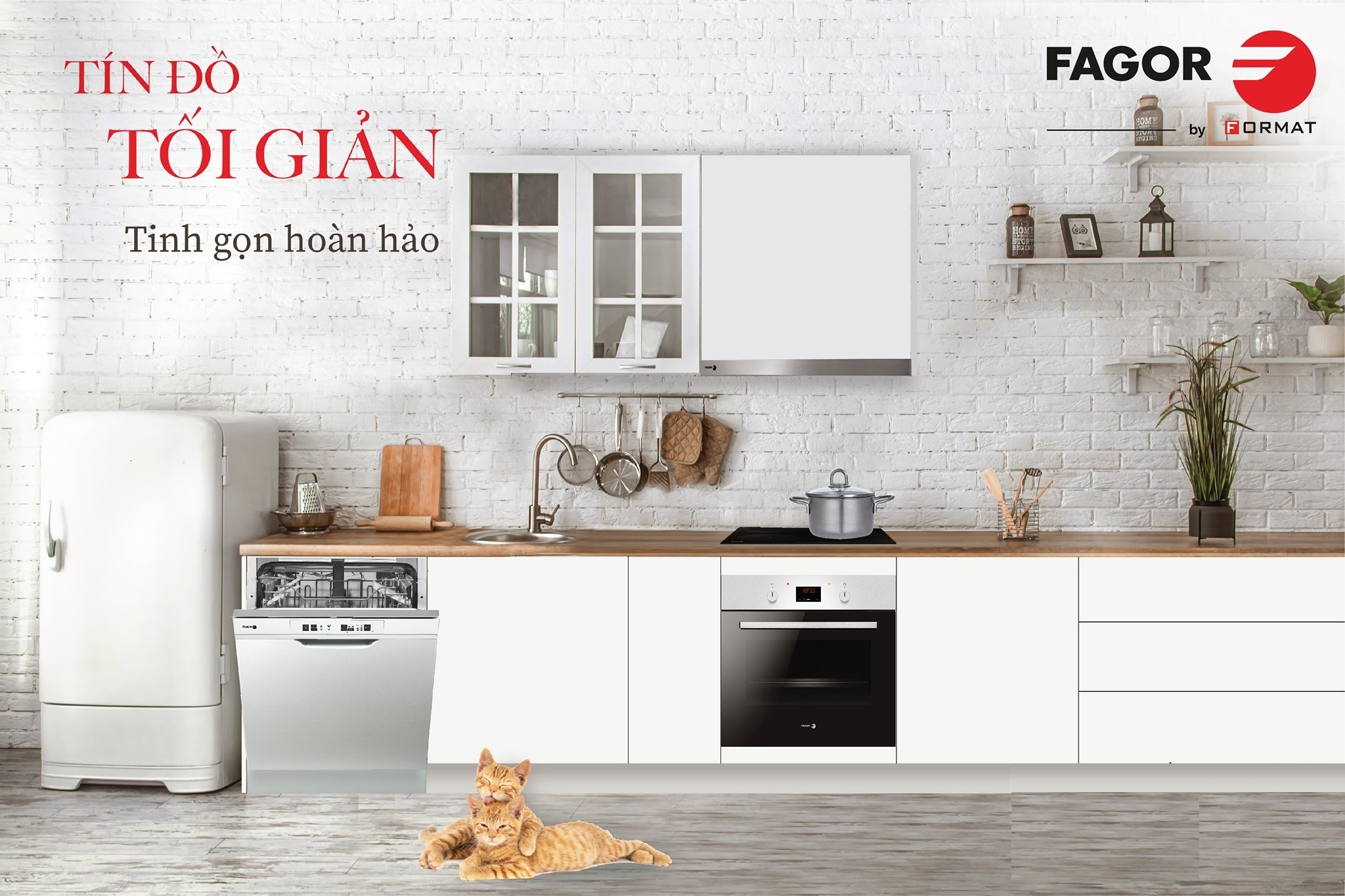 may-rua-chen-doc-lap-mau-bac-fagor-3LVF-61S