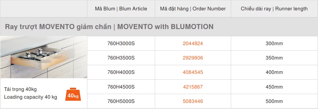 ray-am-movento-blum-giam-chan-40kg-mh3