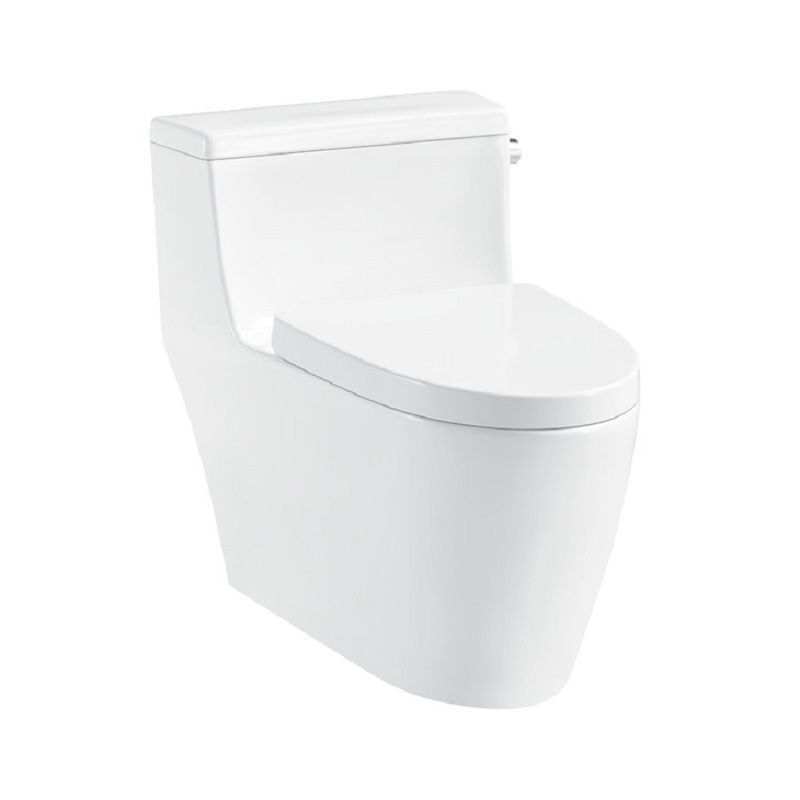 Bồn cầu một khối 588.79.401 Hafele Iconic