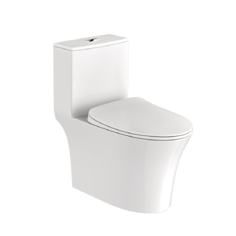 Bồn cầu một khối 588.79.407 Hafele Regal