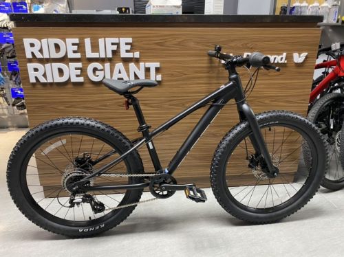 Xe đạp Giant 2022 STP 24