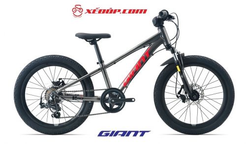 Xe đạp trẻ em GIANT 2024 XTC 20-D