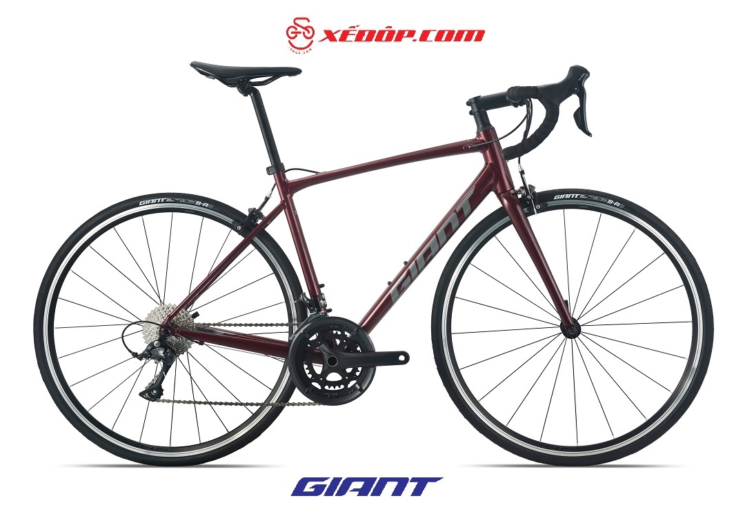 2024-contend-1