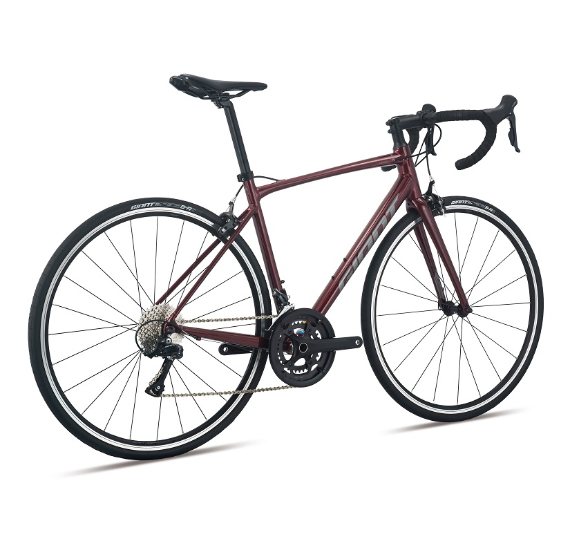 2024-contend-1-1