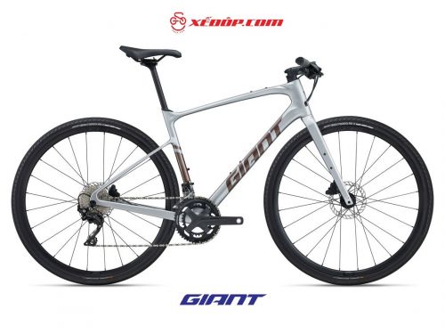 Xe đạp đường phố GIANT 2023 FASTROAD AR ADV 1