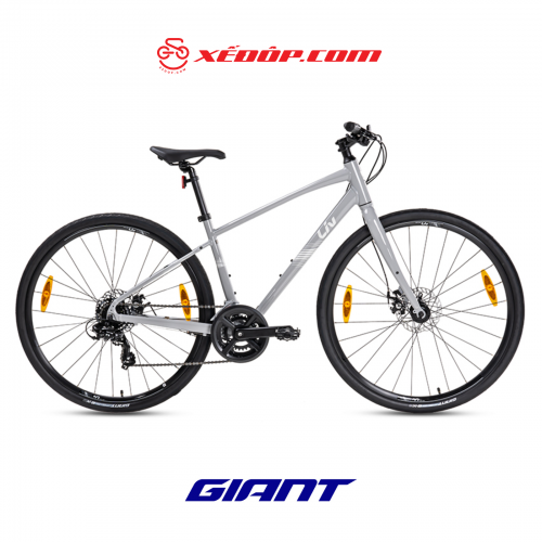 Xe Đạp Đường Phố Touring LIV Alight 3 DD Disc – Phanh Đĩa , Bánh 700C – 2024