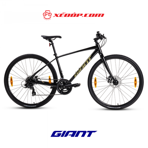 Xe Đạp Đường Phố Touring GIANT Escape 3 Disc – Phanh Đĩa, Bánh 700C – 2024