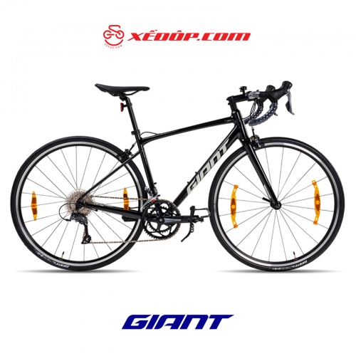 Xe Đạp Đua Đường Trường Road GIANT Contend 2 – Bánh 700C – 2024