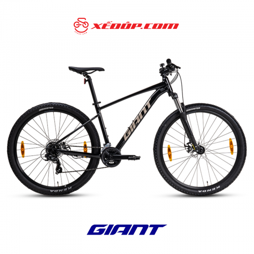 Xe Đạp Địa Hình MTB GIANT Talon 29 4 – Phanh Đĩa, Bánh 29 Inches – 2024