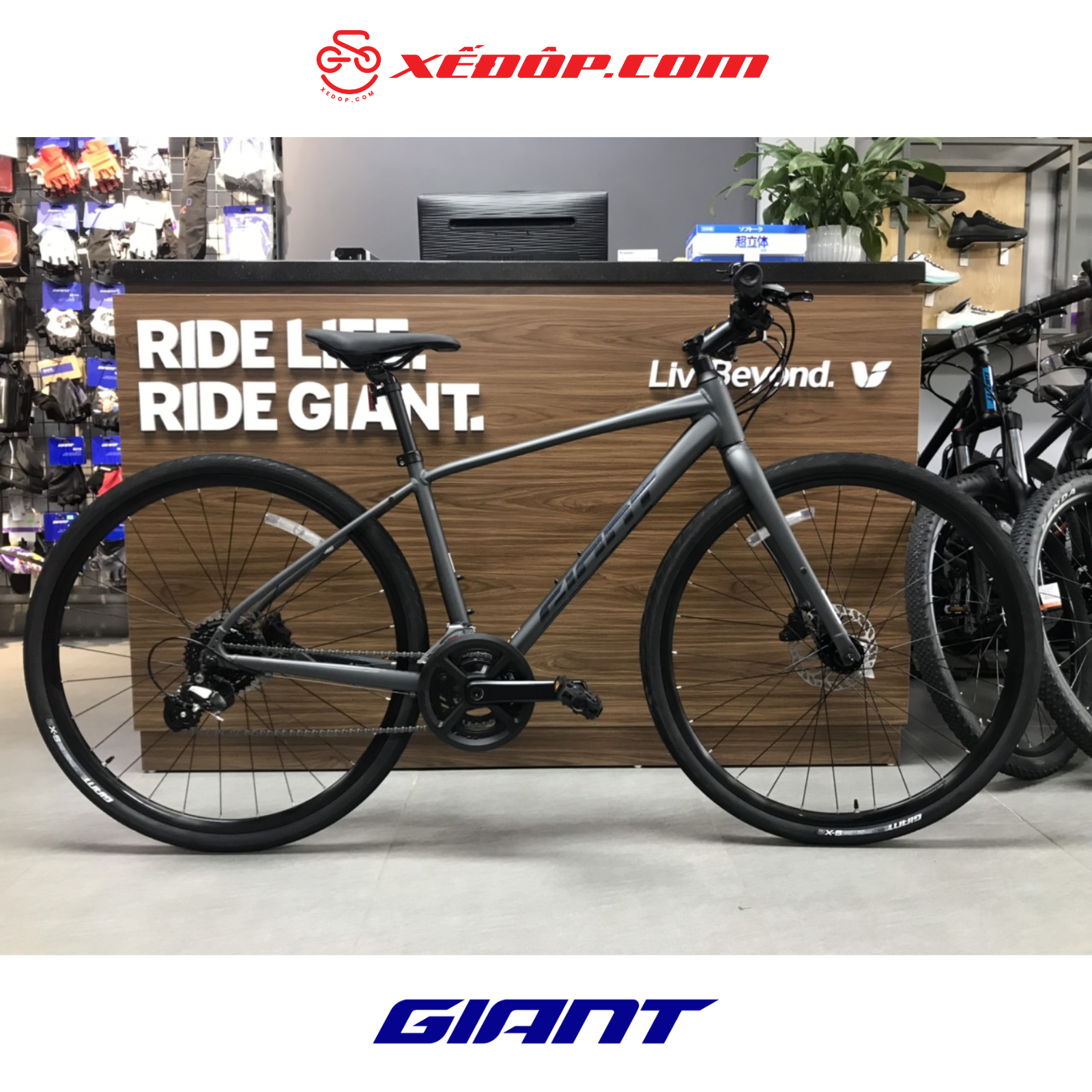 XE ĐẠP ĐƯỜNG PHỐ GIANT 2024 ESCAPE 1 D-GC