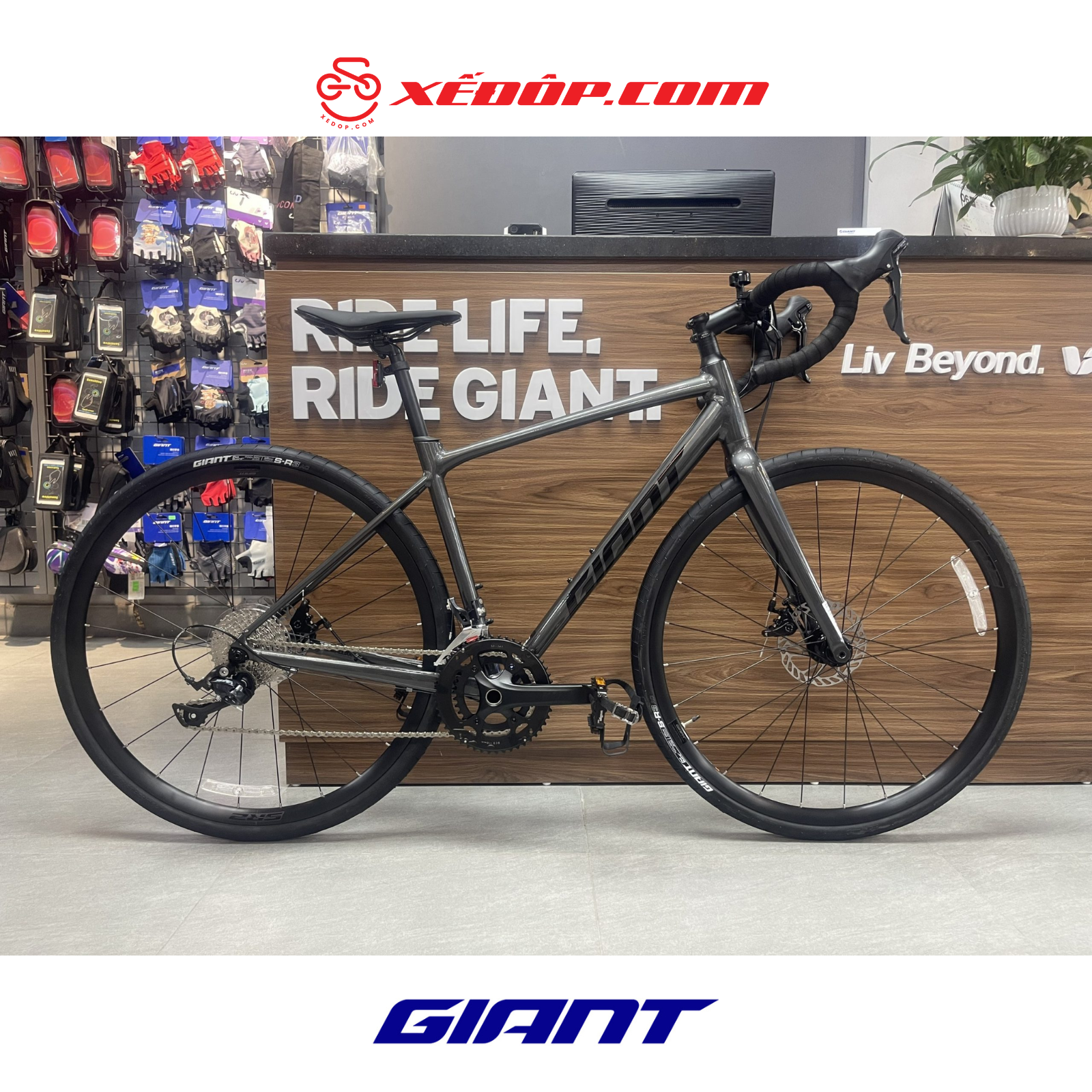 XE ĐẠP ĐUA ĐƯỜNG TRƯỜNG GIANT 2024 CONTEND AR 3-GC