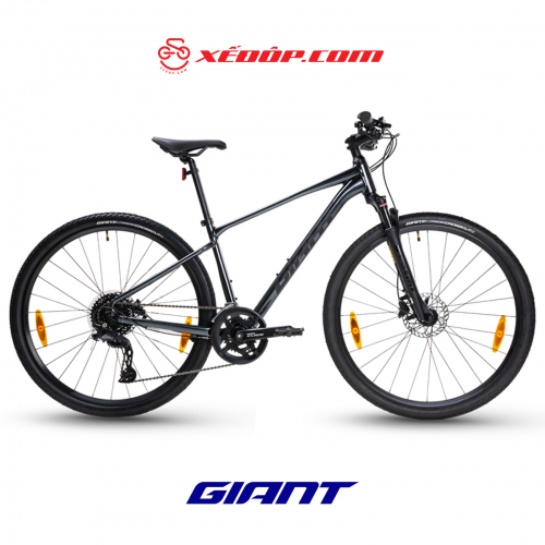 Xe Đạp Địa Hình MTB GIANT Roam 1 Disc – Phanh Đĩa, Bánh 700C – 2024