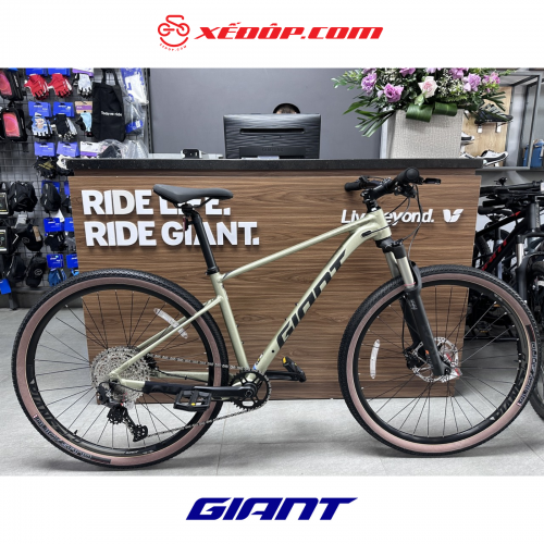 Xe đạp địa hình GIANT 2024 XTC 800 PLUS 29
