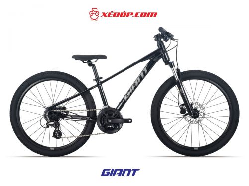 Xe đạp GIANT 2025 XTC 24-D 1