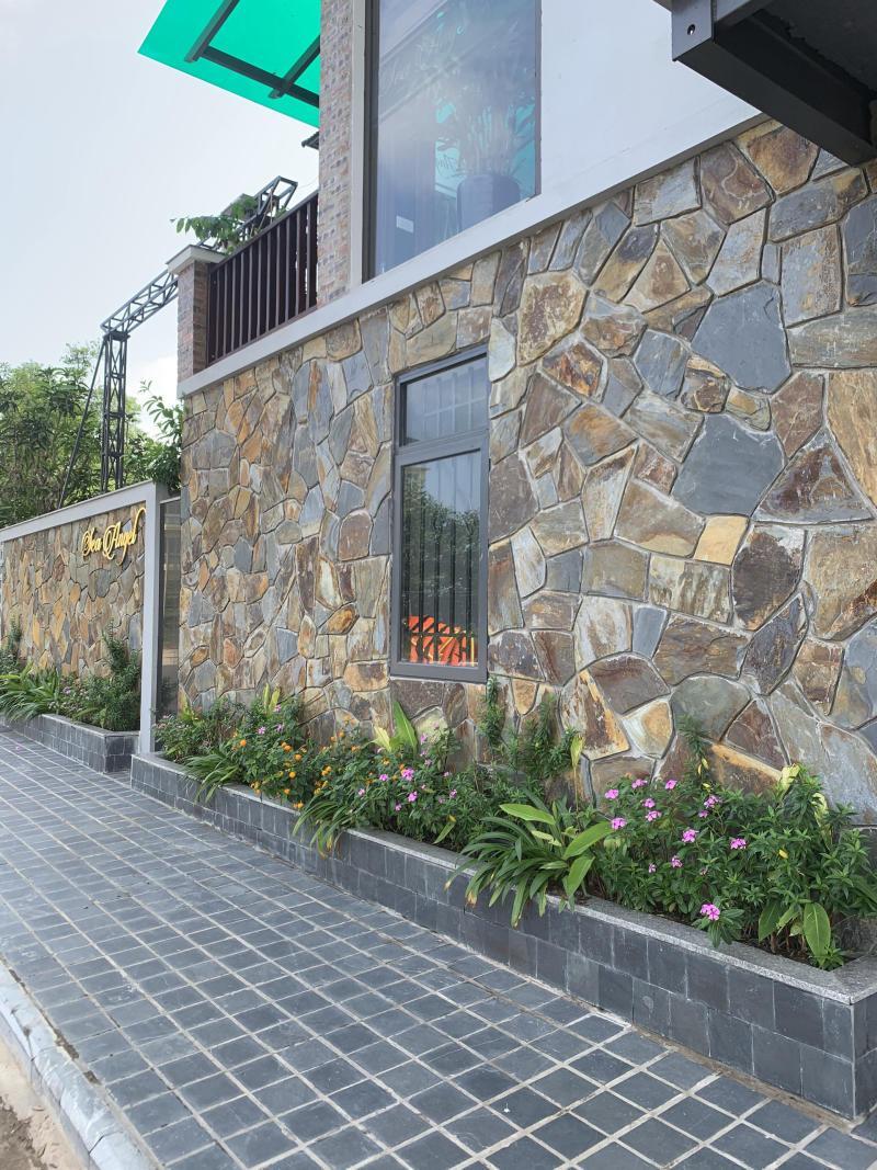 Các mẫu đá rối đa sắc ốp tường đẹp được ưa chuộng